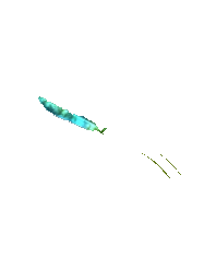 3% Butterfly Gamma