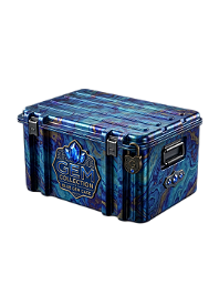 Blue Gem Case