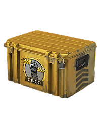 Glove case
