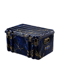Millionaire Case
